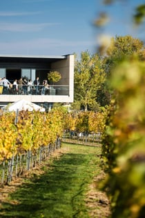 Esterházy Winery Experience