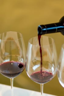 Esterházy Winery Experience