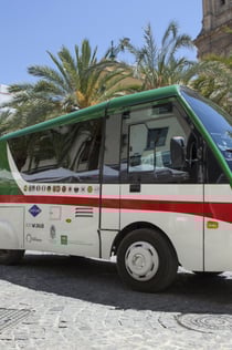 Granada: Hop-on Hop-off Train