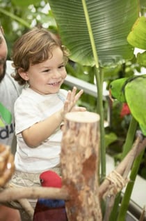 더 그린 플래닛: 우선 입장권