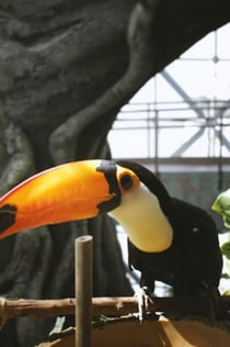 더 그린 플래닛: 우선 입장권