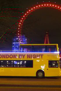 London by Night: Bus Tour with Live Guide