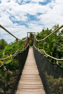 Jungle Park: Entry Ticket