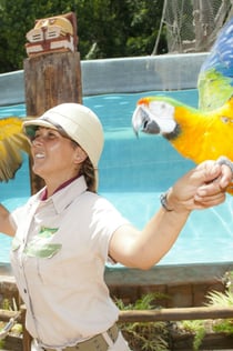 Jungle Park: Entry Ticket