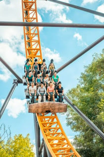 Bobbejaanland: Entrébiljett