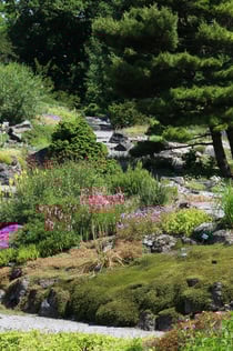 Utrecht University Botanic Gardens: Entry Ticket