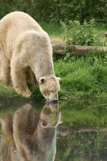 AquaZoo Leeuwarden: inträdesbiljett