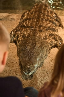 AquaZoo Leeuwarden: inträdesbiljett