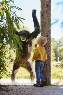 Zoo Dierenrijk