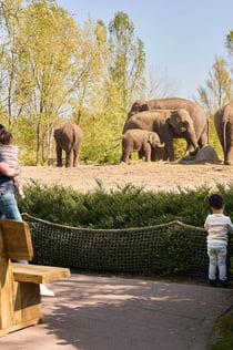 Zoo Dierenrijk