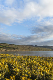 Kompletne doświadczenie Loch Ness: całodniowa wycieczka z Inverness