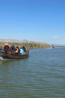 Albufera Bus & Boat from Valencia