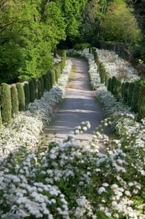Masino Castle: Entry Ticket