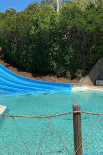 Aquafelix: Entry Ticket
