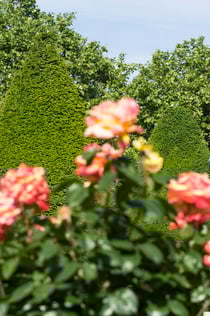 Musée Rodin: Skip The Line