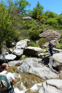 Sierra Nevada: Guided Tour from Granada
