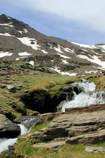 Sierra Nevada: Guided Tour from Granada