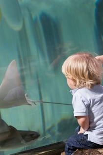 SEA LIFE Paris Aquarium