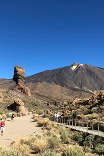Teide nationalpark, Mount Teide och Masca: Guidad tur