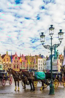Bruges: Guided Tour + Transport