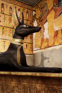 Time Machine: Tutankhamun