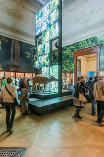 AfrikaMuseum Bryssel: Entrébiljett