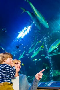 SEA LIFE Munique: Bilhete de entrada