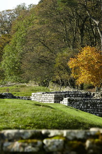 Housestead Roman Fort - Vallo di Adriano