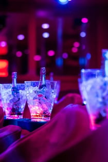 Crazy Horse Paris: Horse Horse: Show + Backstage Experience