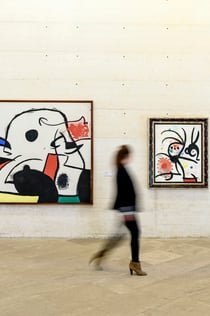 Fundació Miró Mallorca: Entry Ticket