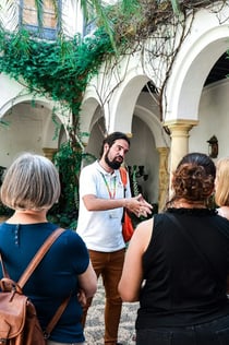 Viana Patios & Palace: prohlídka s průvodcem
