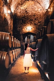 Montepulciano: Cata de vinos en dos bodegas históricas