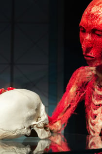 Muzeum BODY WORLDS Heidelberg - Anatomie štěstí