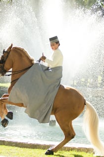 Club Hipico El Ranchito: Andalusisk hest og Flamencoshow