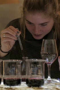 Σπήλαια του Λούβρου: Sommelier