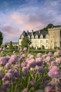 Château de Villandry: Tiquet d'entrada