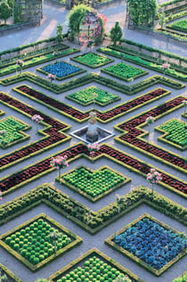 Château de Villandry: Tiquet d'entrada