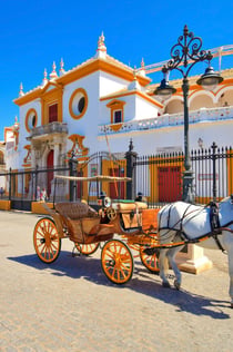 Destaquem a Sevilla: Visita guiada gratuïta