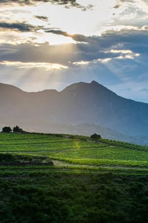 Martín Faixó | Sa Perafita: Begeleide Winery Tour