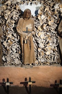 Cryptajn Capuchin: Guidet tur