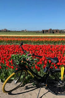 Keukenhof: Højdepunkter Cykeltur