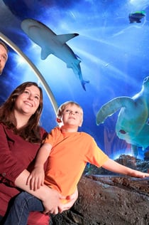 SEA LIFE Konstanz: Toegangsticket