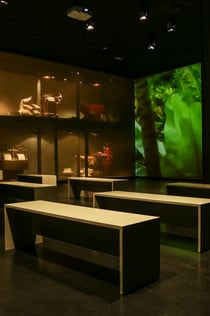 Experiência Simón Coll Chocolate: visita guiada
