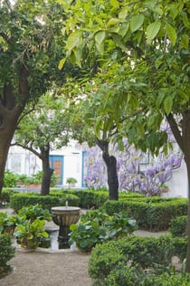 Palác Viana: Prohlídka s průvodcem