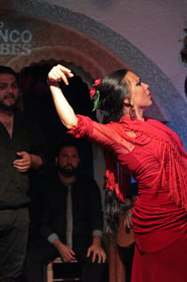 Tablao Cordobés: Flamencoshow + drankje