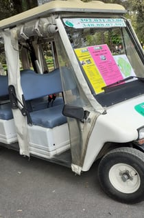 Jardins i centre històric de Villa Borghese amb carro de golf