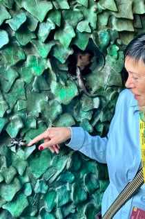 Go With A Local: Visita guiada sin hacer cola a la Sagrada Familia en alemán