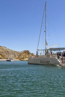 Playas del Algarve: Crucero de medio día en catamarán desde Lagos
