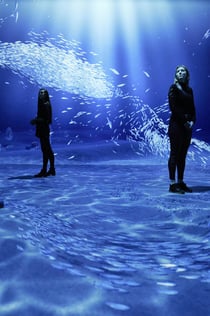 Remastered in Rotterdam: An Audiovisual Experience