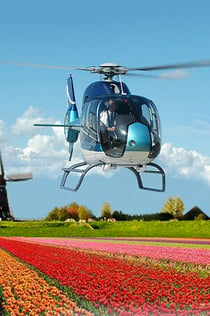 Lisse: Tulip Field Helicopter Flight